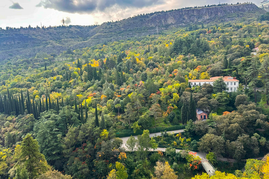 Botanical Garden, Tbilisi Botanical Garden, Tbilisi