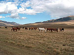 Kazakhstan