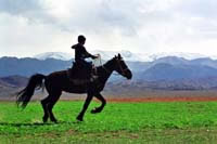 Northern Kazakhstan