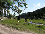 Grigorevskoe Gorge