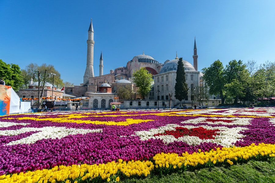 Istanbul Tulip Festival in Spring
