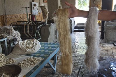 Procès de la fabrication dans la fabrique de soie Yodgorlik, Marguilan