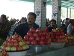 Samarkand
