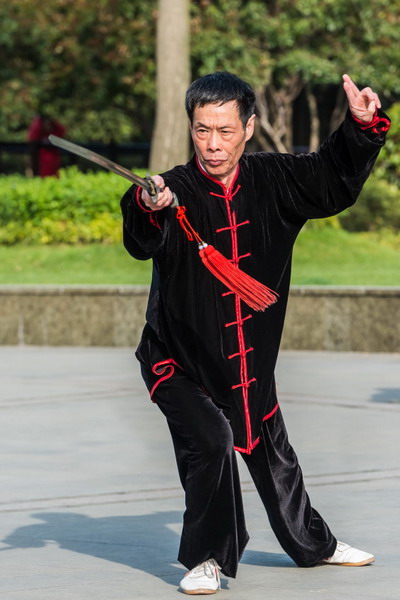 What is wushu kung fu