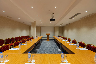 Conference-hall, Monarch Hotel