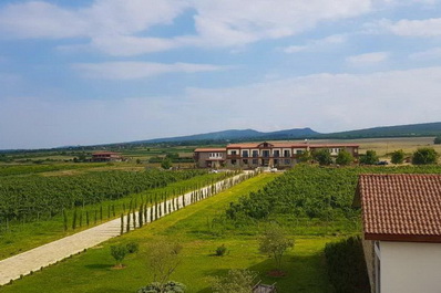 Винодельня, Гостиница Château Mosmieri Hotel & Winery