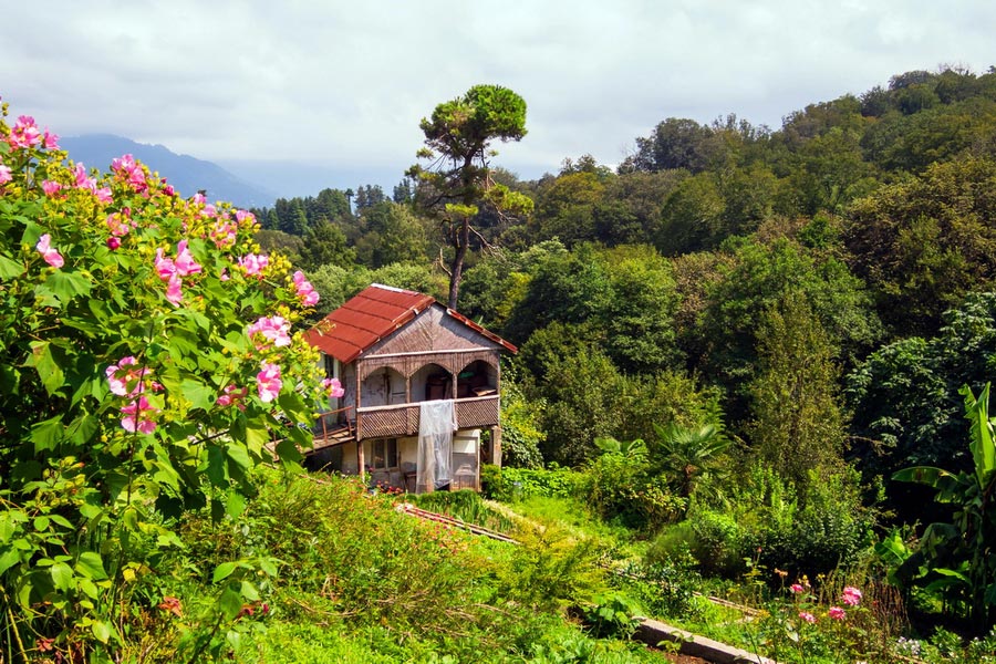 Jardín Botánico de Batumi, Las 15 cosas que ver en Georgia