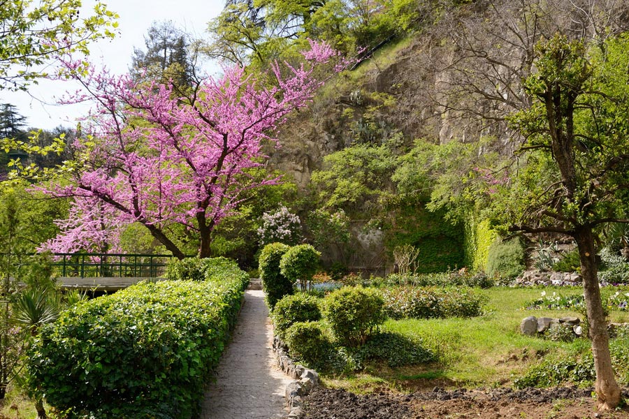 Tbilisi Botanical Garden