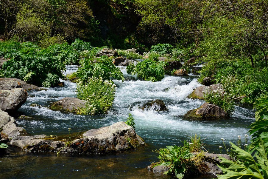 Tsalka Canyon