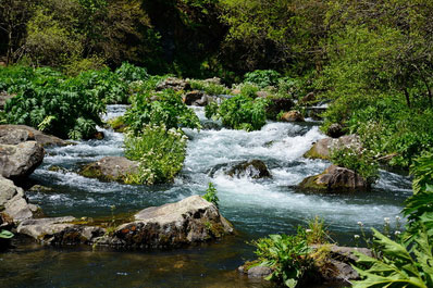 Tsalka Canyon