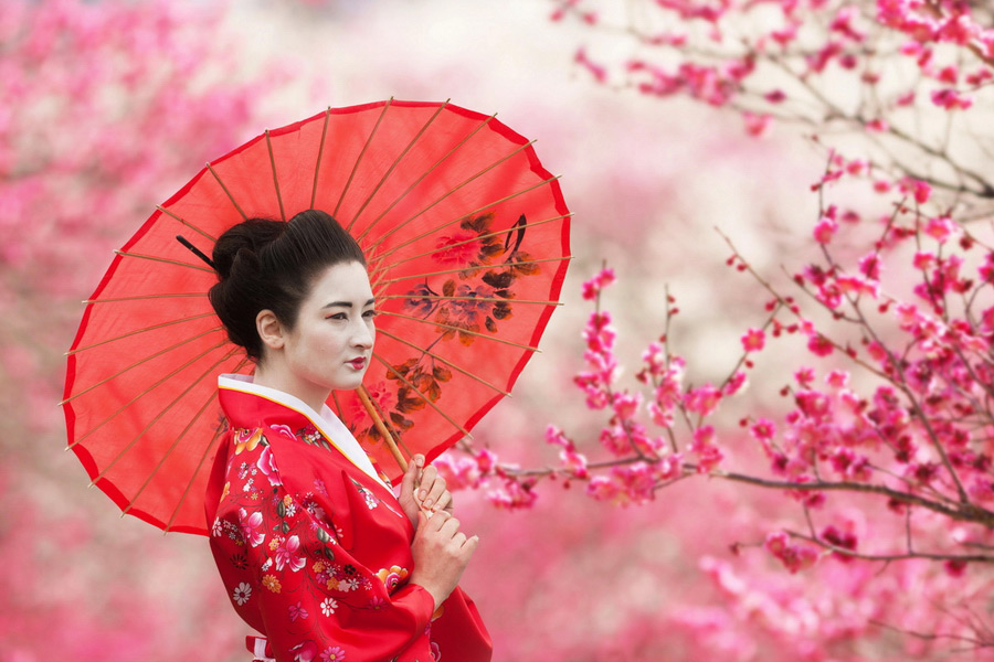 Geishas, Japanese Culture