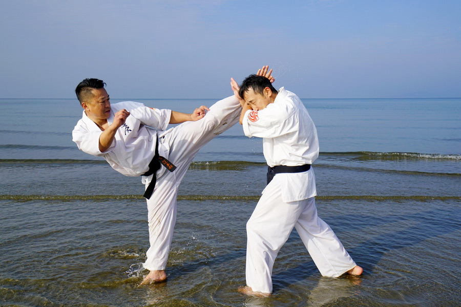 Karate, Japanese Martial Art