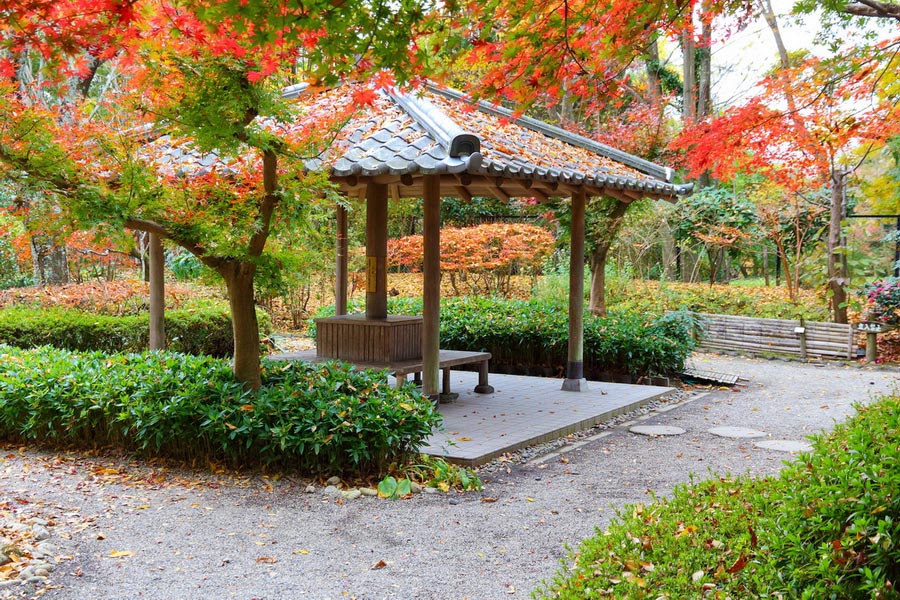 Nara Tea Garden