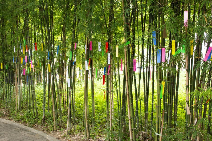 Tanabata Matsuri