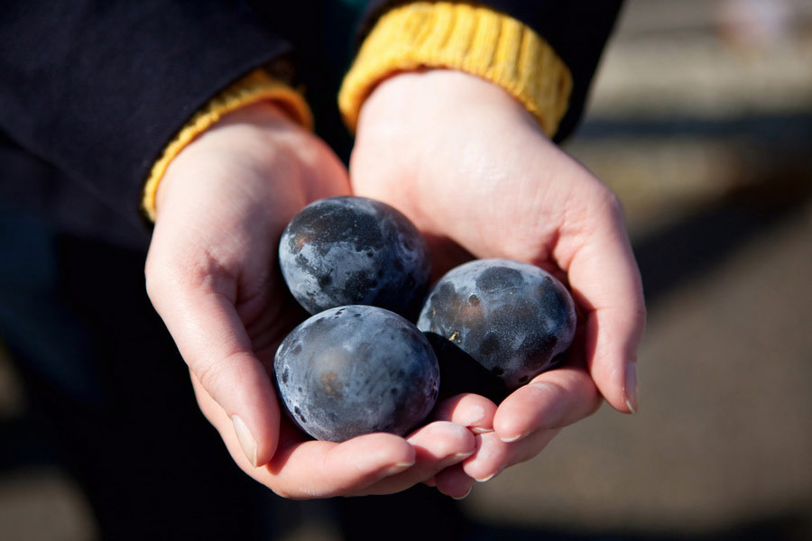 Hakone Black Eggs