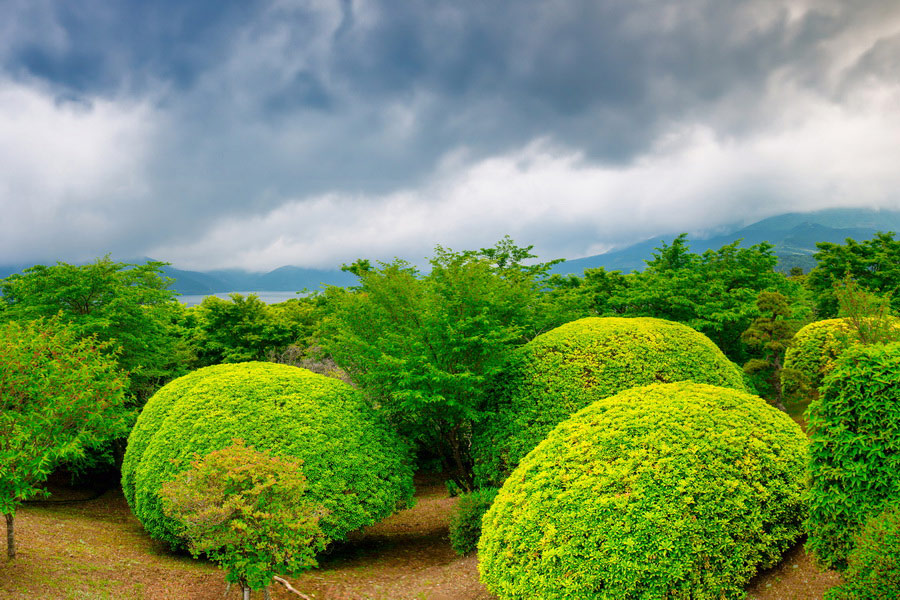 Onshi Hakone Park, Hakone