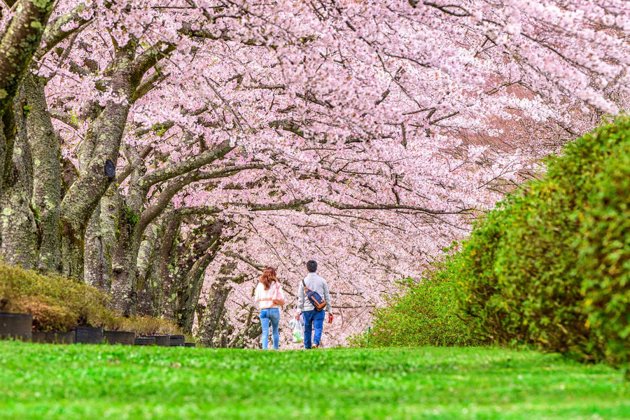 Shizuoka, Japan in Spring, Vernal and Autumnal Equinox Days