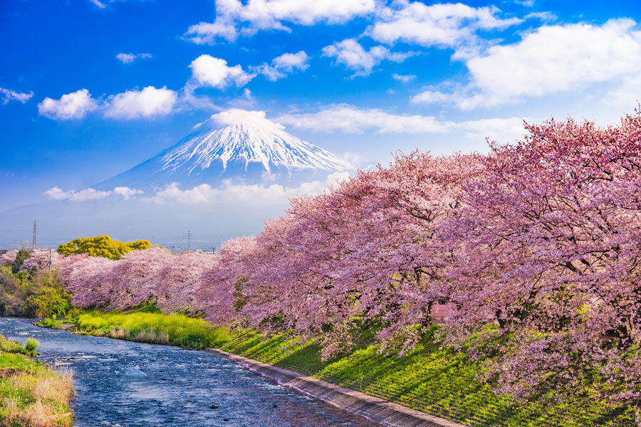 Mount Fuji, Japan – Travel