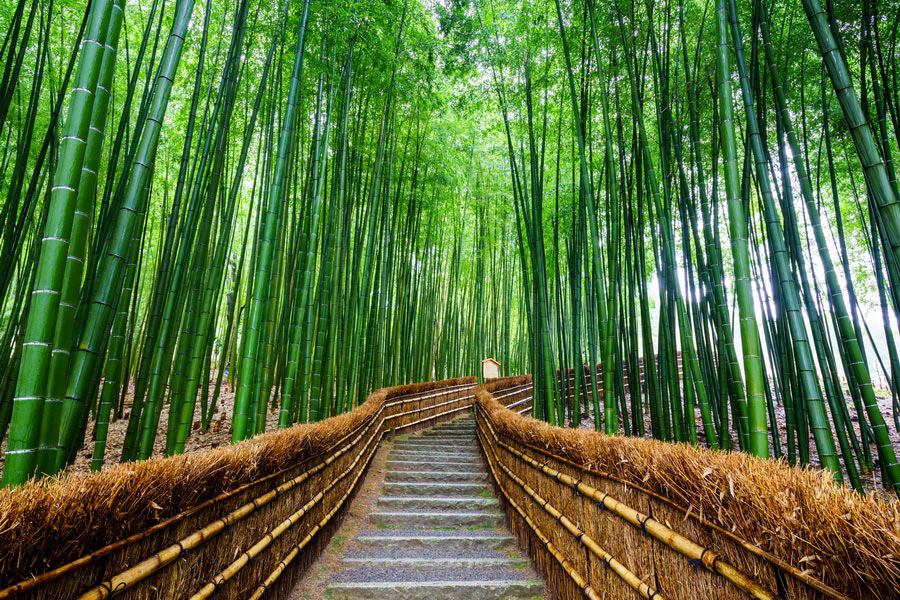 Kyoto, Japan - Travel