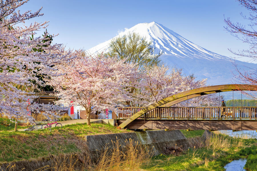 Mount Fuji in Spring, Best Time to See Mount Fuji