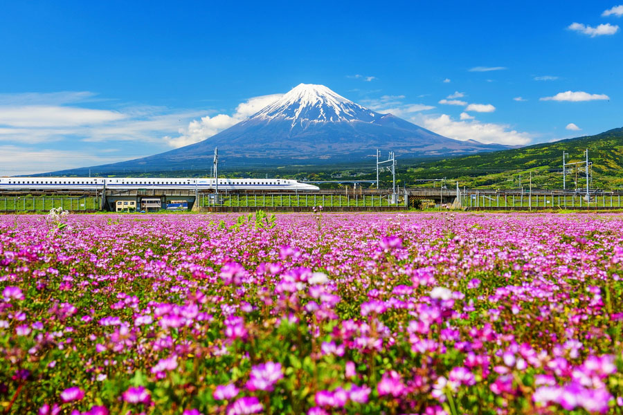 Shinkansen Line, Best Things to Do near Fuji