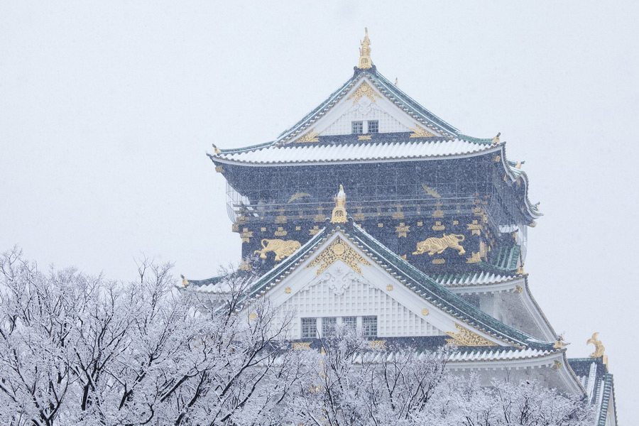 Best Time to Visit Osaka