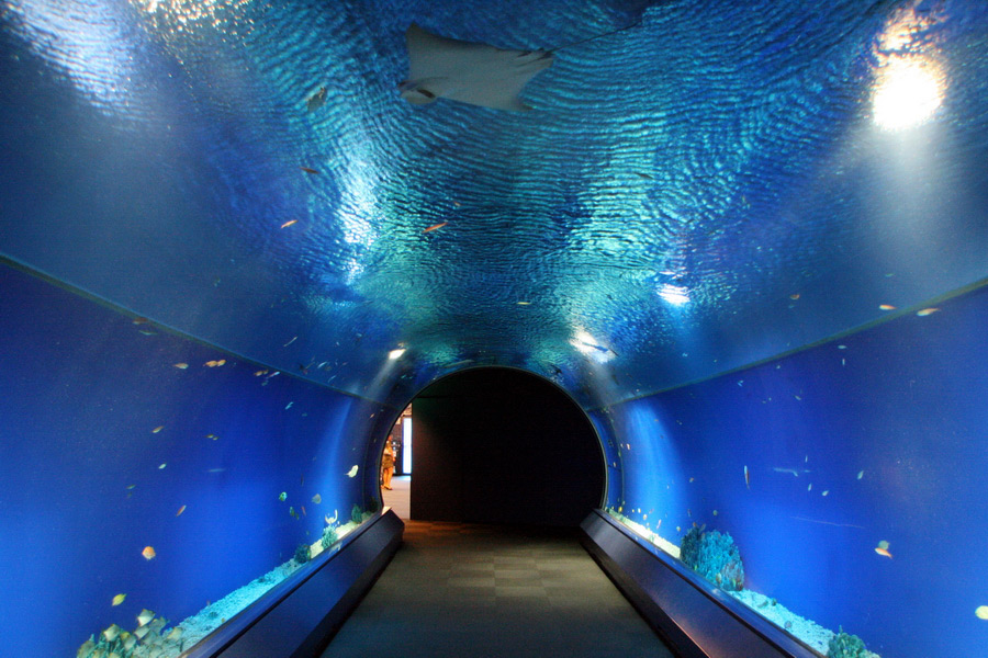 Aqua Gate at Osaka Aquarium Kaiyukan