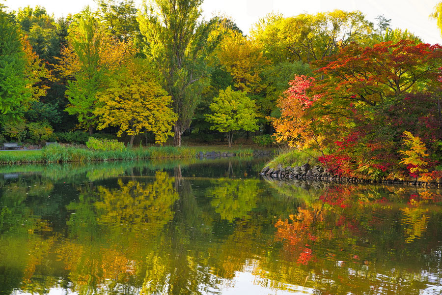 Nakajima Park, Autumn in Sapporo