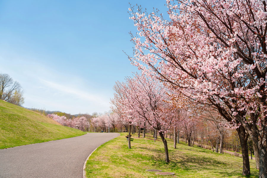 Asahiyama Memorial Park, Spring in Sapporo