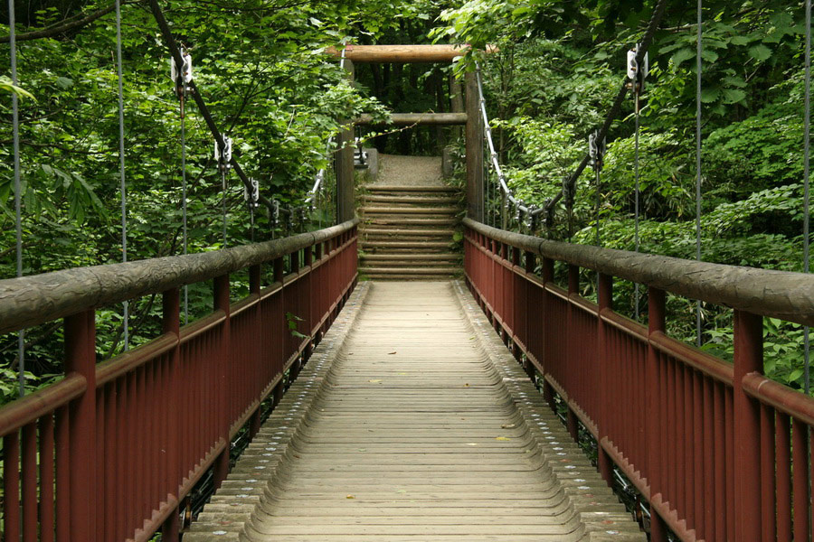 Historical Village of Hokkaido, History of Sapporo