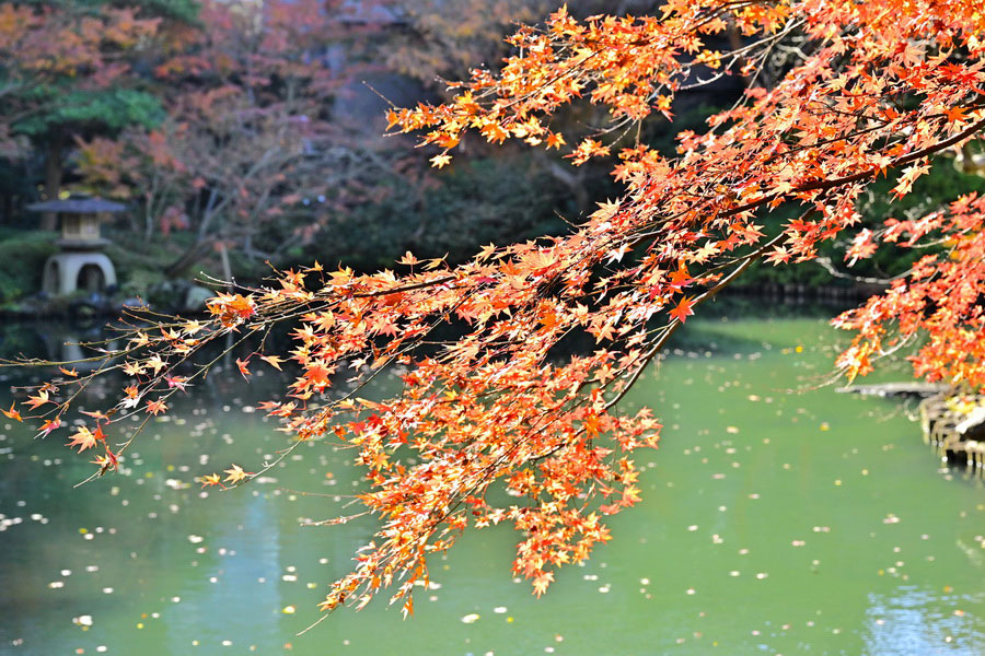 Happō-en Garden, Tokyo