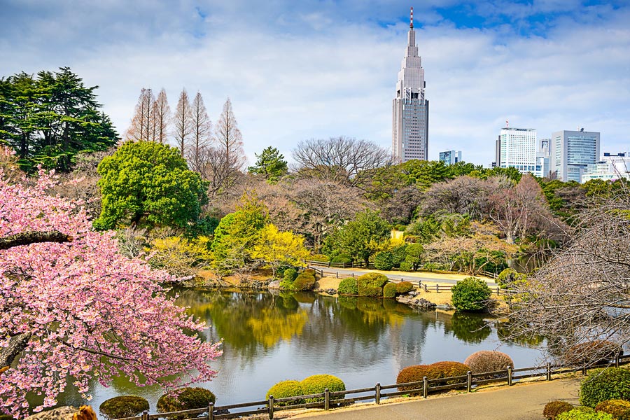 Shinjuku Gyoen National Garden, Tokyo