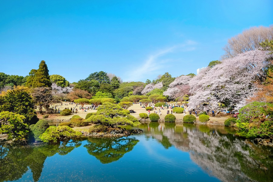 Shinjuku Gyoen National Garden, Tokyo