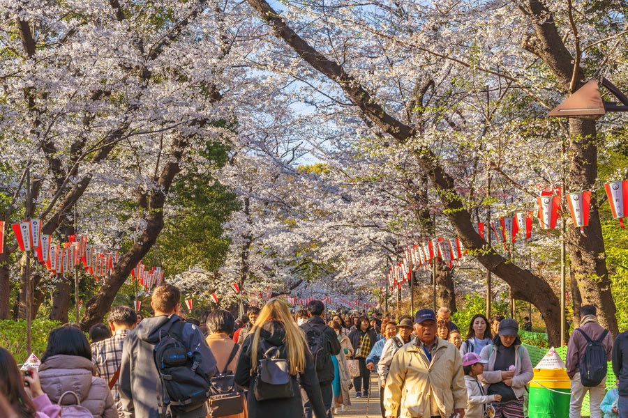 Ueno Park, Tokyo