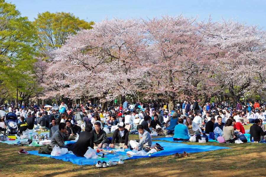 Yoyogi Park, Tokyo