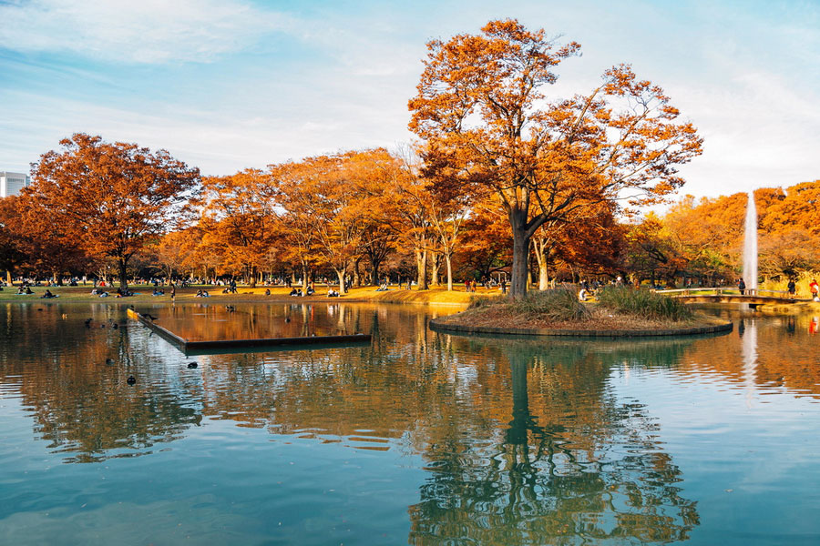 Yoyogi Park, Tokyo