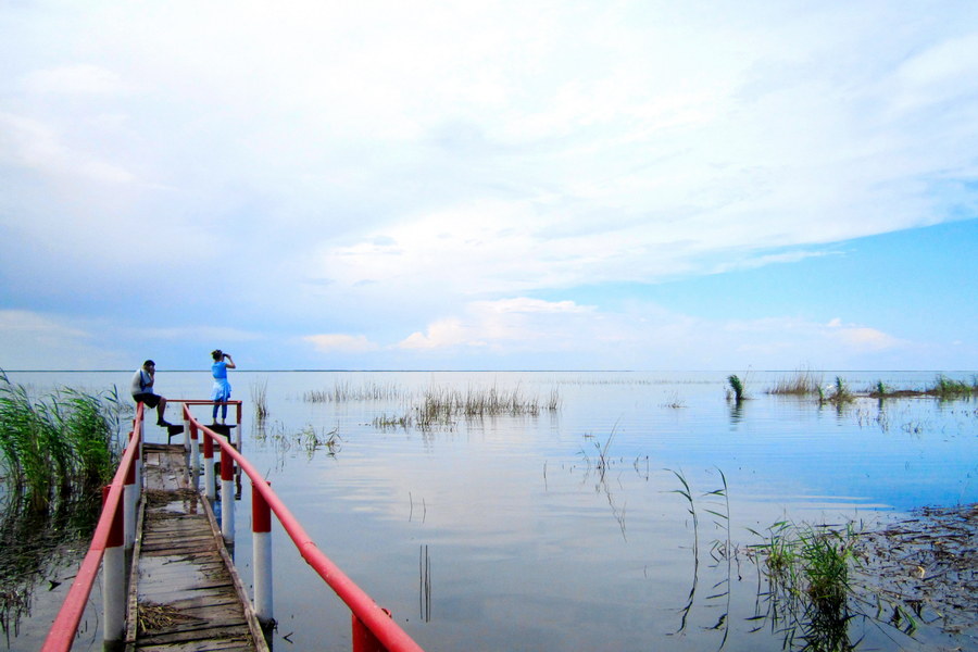 Reserva Natural Korgalzhyn, Kazajistán