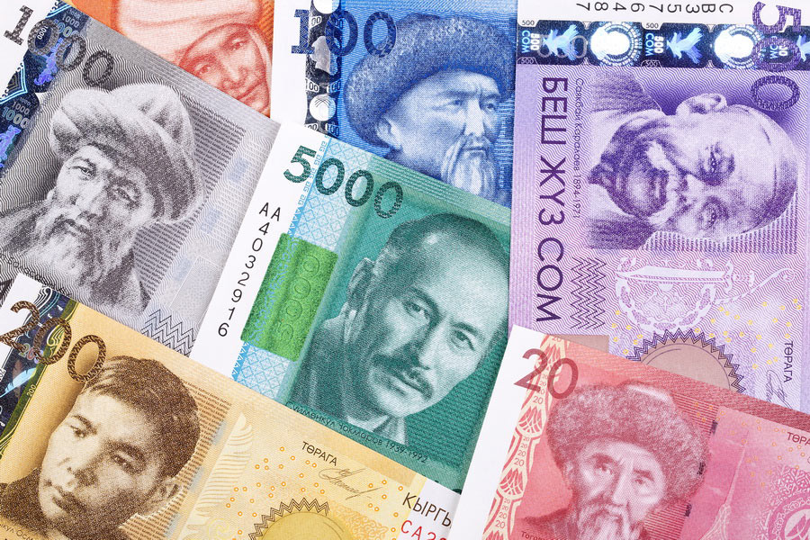 National Currency of Kyrgyzstan