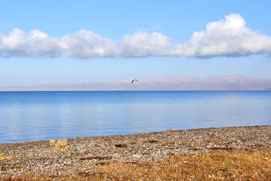 Lac Son Koul au Kirghizistan