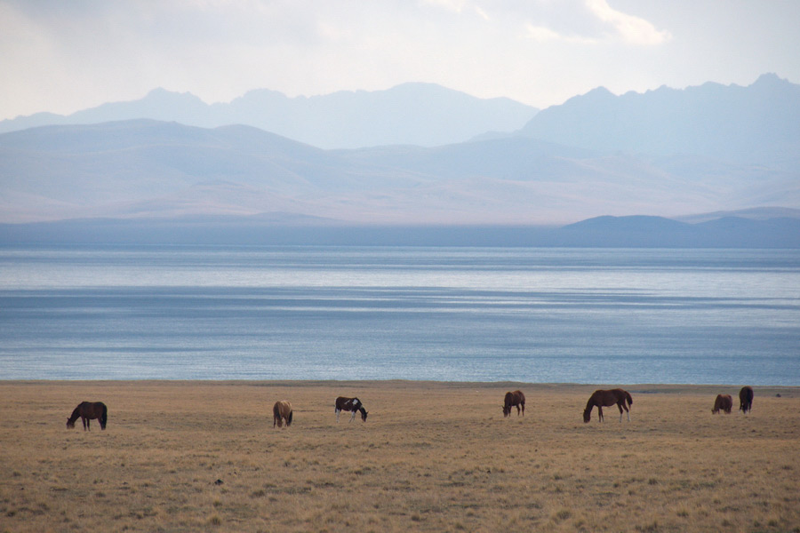 Lake Son-Kul, Top 10 Places to Visit in Kyrgyzstan