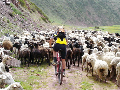 Kyrgyzstan Biking Tour