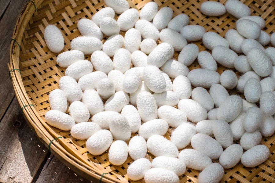 Proceso de Producción de Seda en la Antigua China