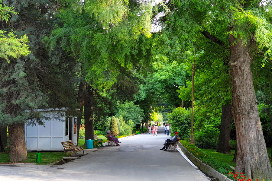 Jardín Botánico, Dushanbé Jardín Botánico, Dushanbé