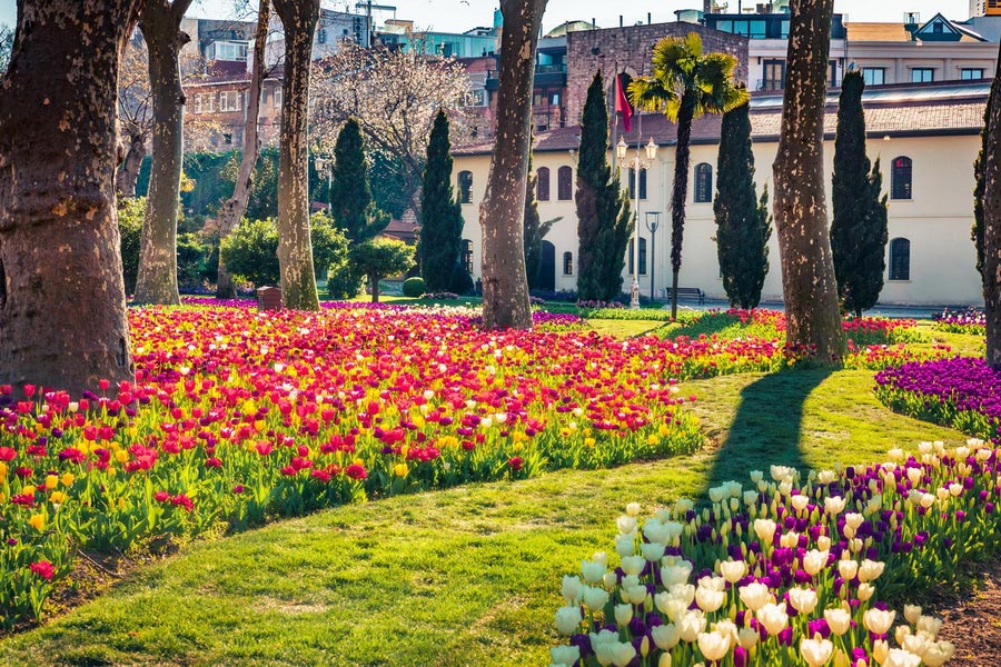 Gülhane Park (Rosehouse Park), Parks of Istanbul