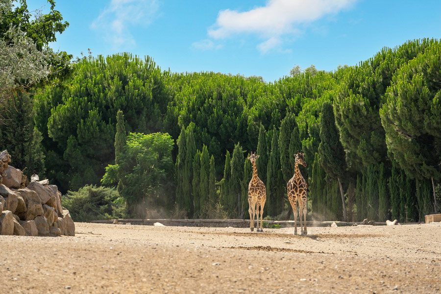 Izmir Natural Life Park, Parks of Izmir