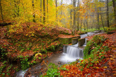 Yedigoller National Park, Viaje a Turquía