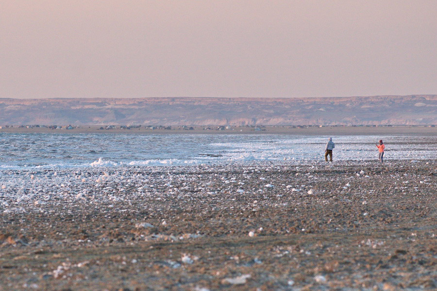 Best Time to Visit the Aral Sea