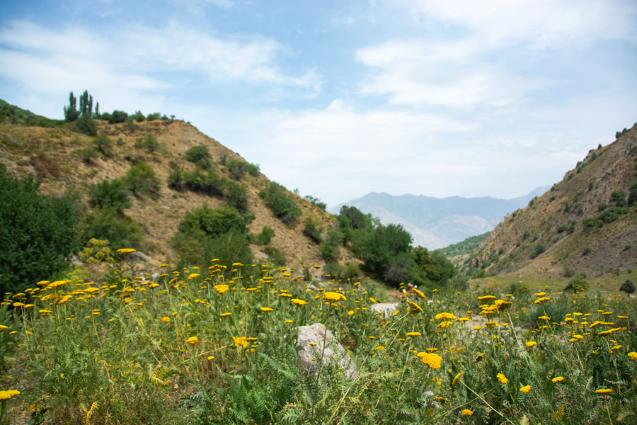 Gulkam Canyon, Chimgan Mountains Gulkam Canyon, Chimgan Mountains