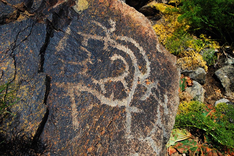 Beldersay Petroglyphs, near Tashkent Beldersay Petroglyphs, near Tashkent