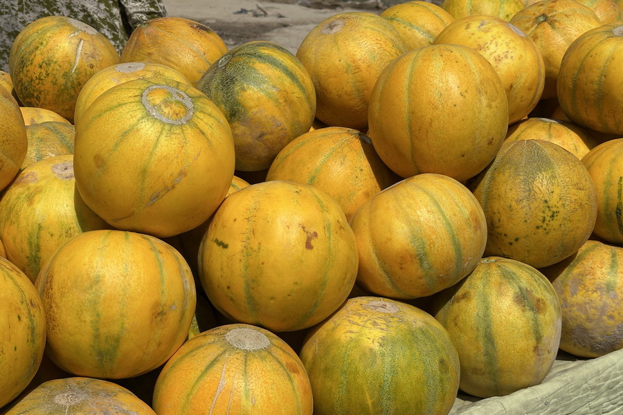 Melon Festival, Khiva Melon Festival, Khiva